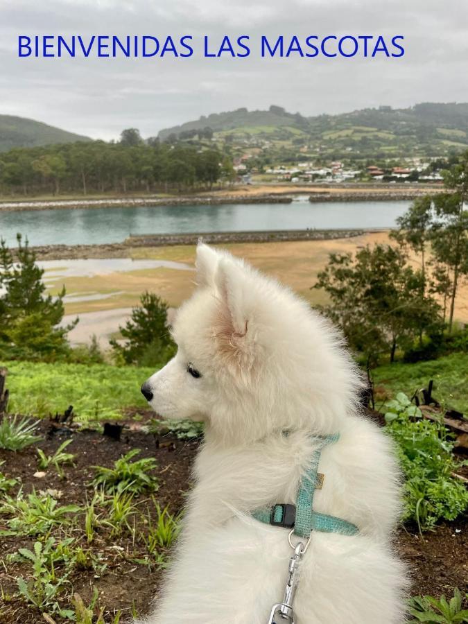 Playa Del Puntal Villaviciosa Asturias Lujo Primera Linea Playa Zewnętrze zdjęcie